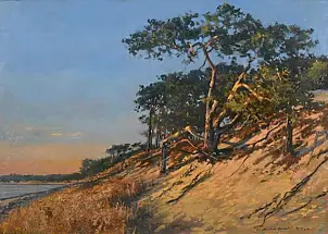 Wojciech Górecki - Pine Hel-late afternoon