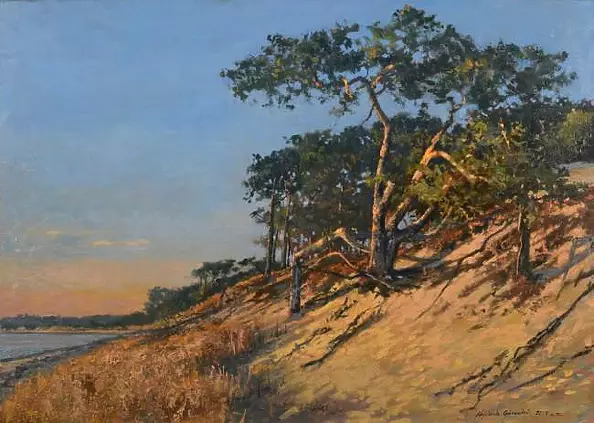 Wojciech Górecki - Pine Hel-late afternoon