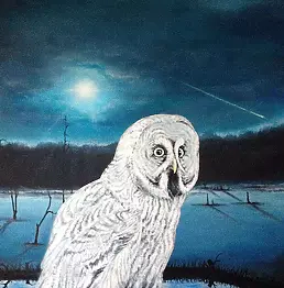 Pawel Molodov - Сова