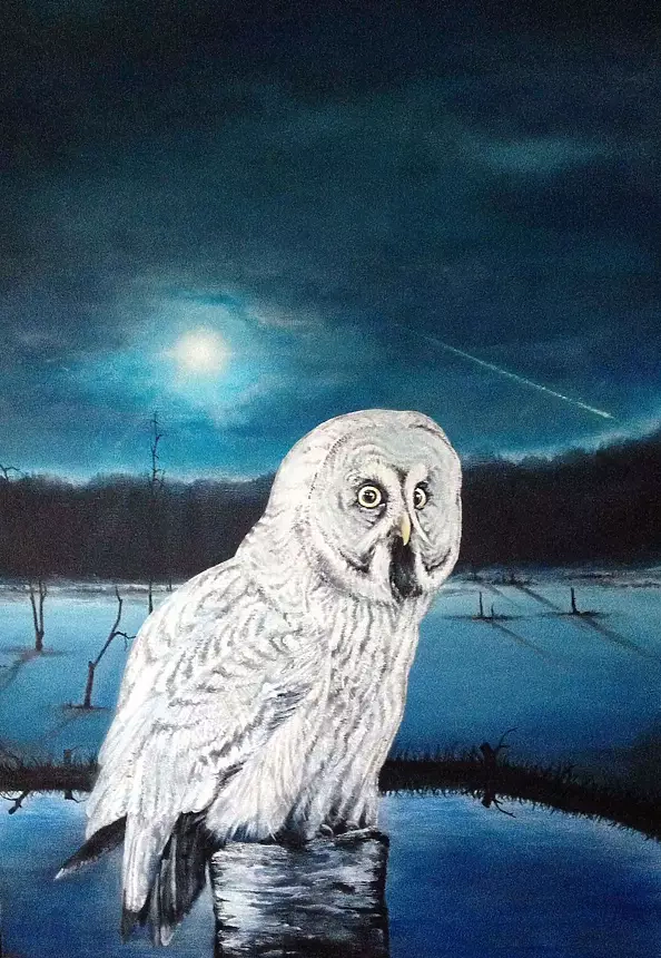 Pawel Molodov - Сова