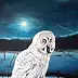 Pawel Molodov - Сова