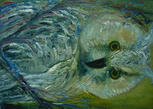 Helga Maria RADOCHOŃSKA - Sowa  Puszczyk