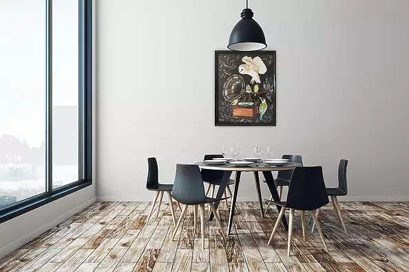 Agnieszka Mantaj - Owl and gramophone