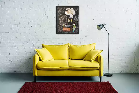 Agnieszka Mantaj - Owl and gramophone