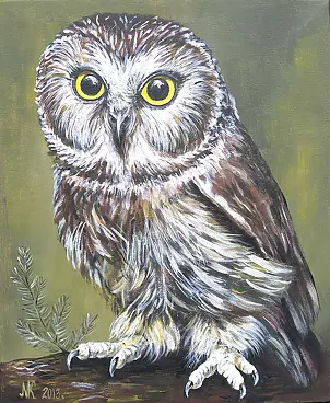 Katarzyna Niemczak - Owl