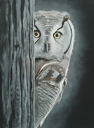 Luba Santkiewicz - The owl that sees.