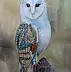 Zdzisław Rutkowski - Barn owl