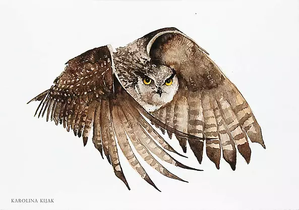 Karolina Kijak - Owl in flight