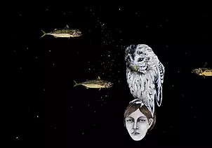   - The owls are not what they seem