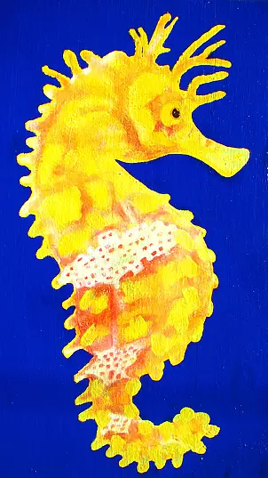 Padovani Nicolas - Space hippo