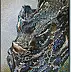 Marek Chomczyk, Burnt willow, Acrylic painting - canvas, 100 x 140