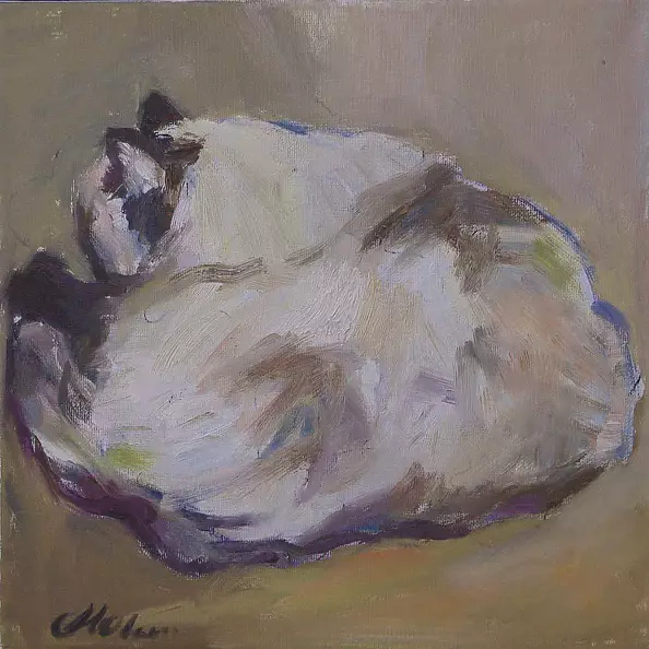 Małgorzata Oborska - sleeping cat