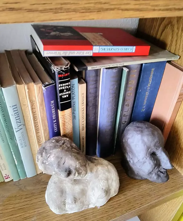 Jolanta Danys - Sleeping baby