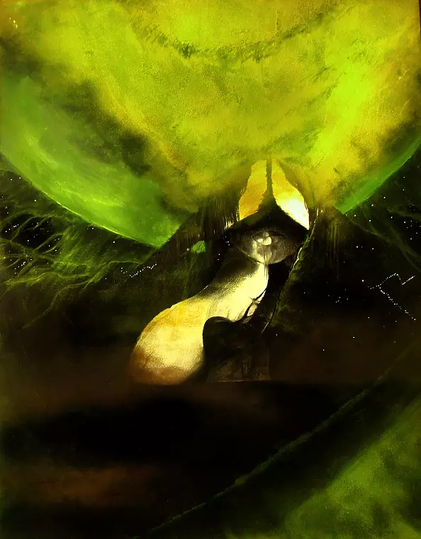 Arkadiusz Masalski - Sleeping AneriX