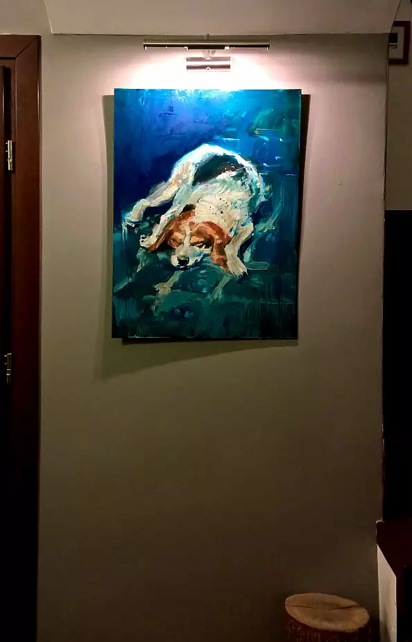 Doma Suszczyńska - Sleeping dog