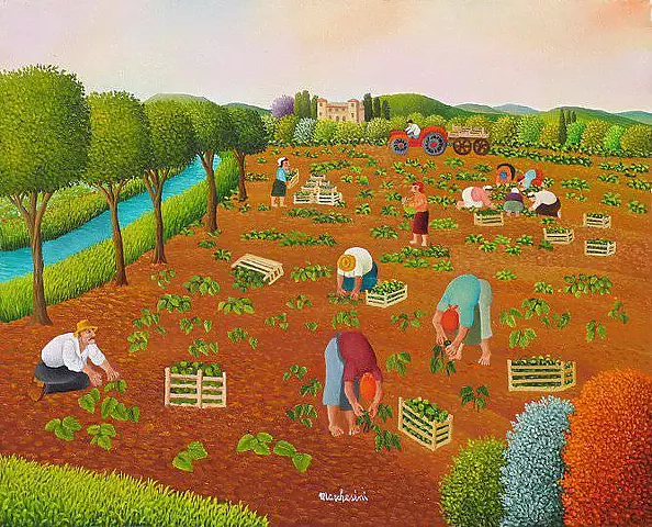 Cesare Marchesini - A collection of spinach