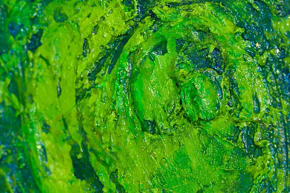 Pamela Rys - Spiritual Rebirth