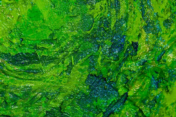 Pamela Rys - Spiritual Rebirth