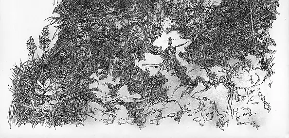 Agnieszka Osak - Spokojne miejsce