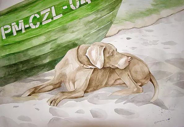 Dorota Kędzierska - Spykey