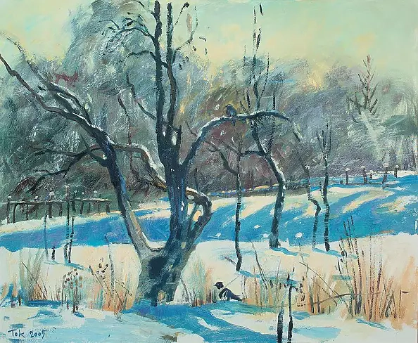 . FLORIAN - old Apple Tree