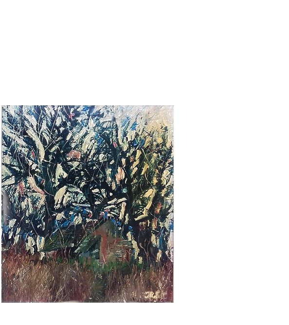 Rafał Jarosz - Old Barn and Trees