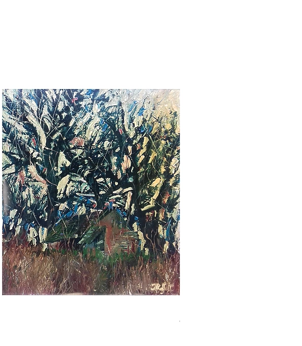 Rafał Jarosz - Old Barn and Trees