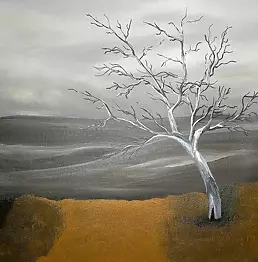 Magdalena Januszak - The elders