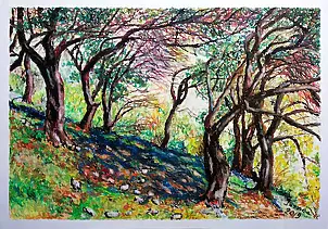 Iwonna Salak - Old trees