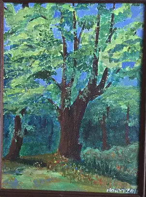   - Old tree in Moszna - 2016