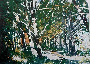 Jerzy Rodziewicz - Stare lipy