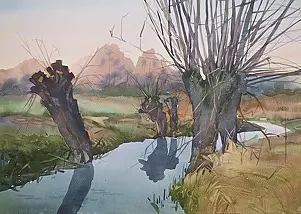   - Stare wierzby nad rzeczką