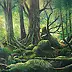Jacek Siedlec - old forest