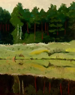 Paweł Cabanowski - Staw