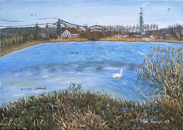 Rafał Huczek - Pond in Wadowice