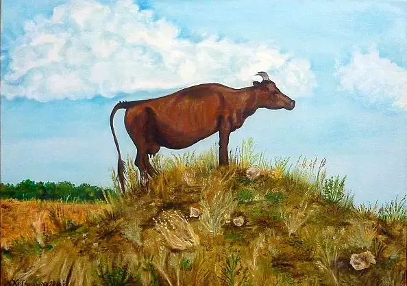 Marlena Kaftanowicz - steppe cow