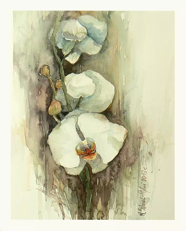 Marta Sobczak Pietoń - Storczyk