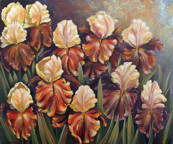 Małgorzata Mutor - irises stories