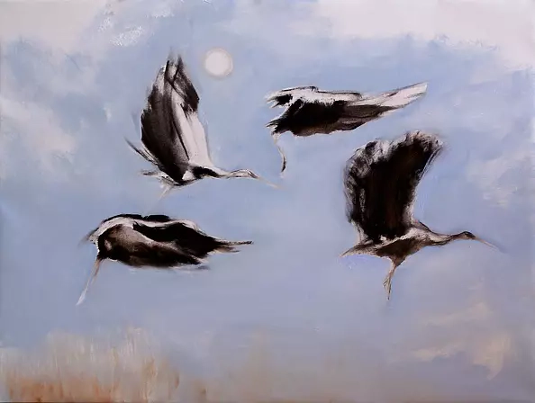 Marta Radziszewska - Storks in flight