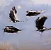 Marta Radziszewska - Storks in flight