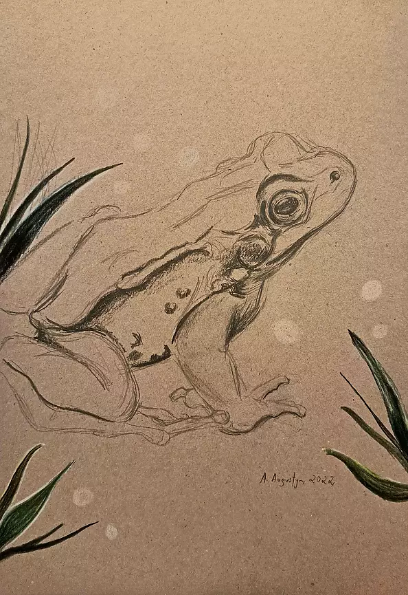 Amelia Augustyn - Scary fun