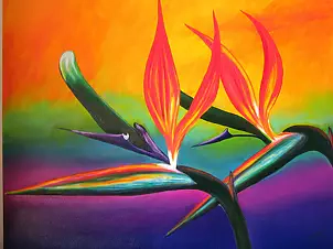 Isabella Degen - Strelitzia III