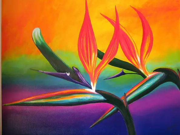 Isabella Degen - Strelicja III