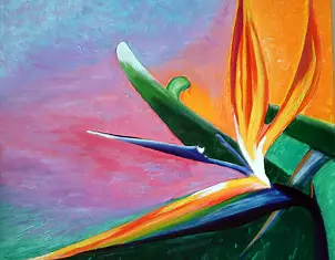 Isabella Degen - I Strelitzia