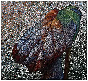 Marek Chomczyk - Structures of nature