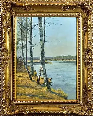   - Study of Brzoza on the Bug