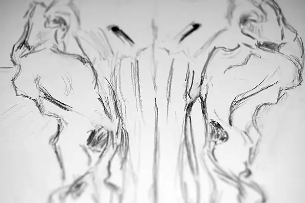 Amelia Augustyn - Skull study III