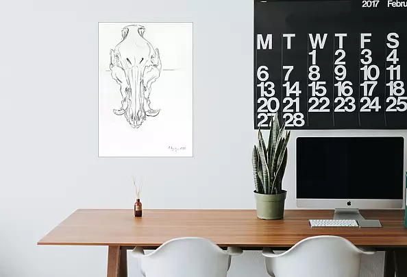 Amelia Augustyn - Skull study III