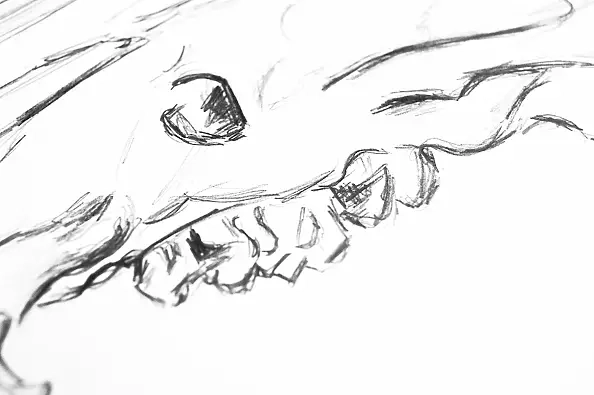 Amelia Augustyn - Studium czaszki IV