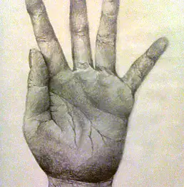 Katarzyna Górowska, Исследование ладони 1,  - папір, 21 x 30